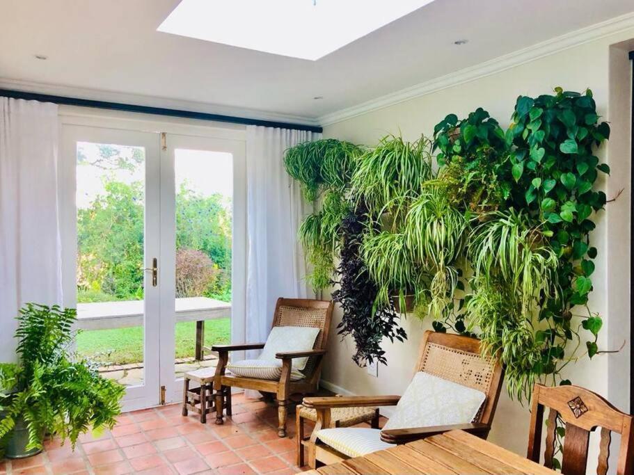 Idyllic Constantia Villa *