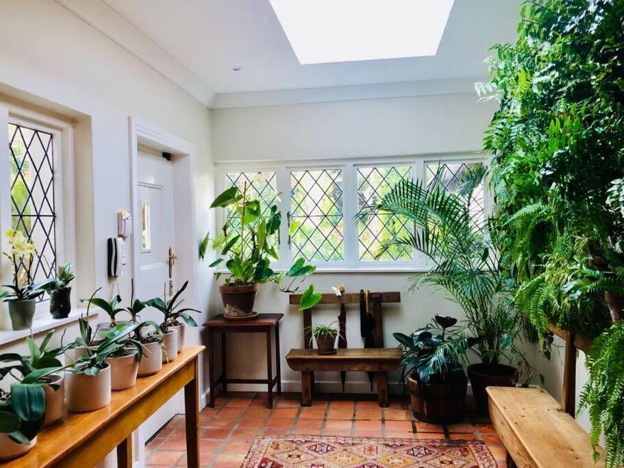 Idyllic Constantia Villa