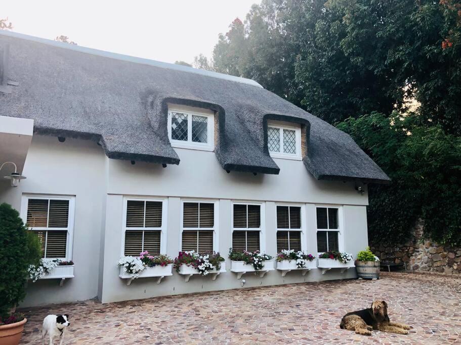 Idyllic Constantia * Cape Town